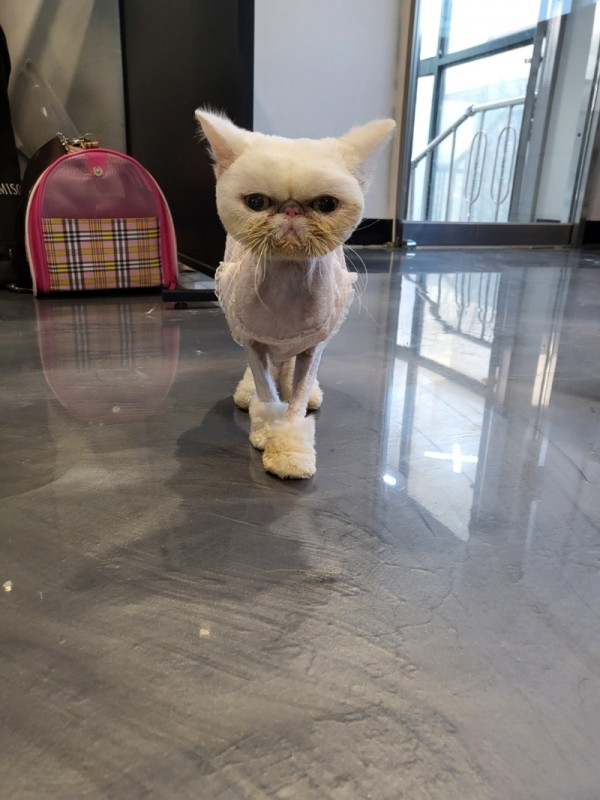 KakaoTalk_20220213_174030463_02.jpg