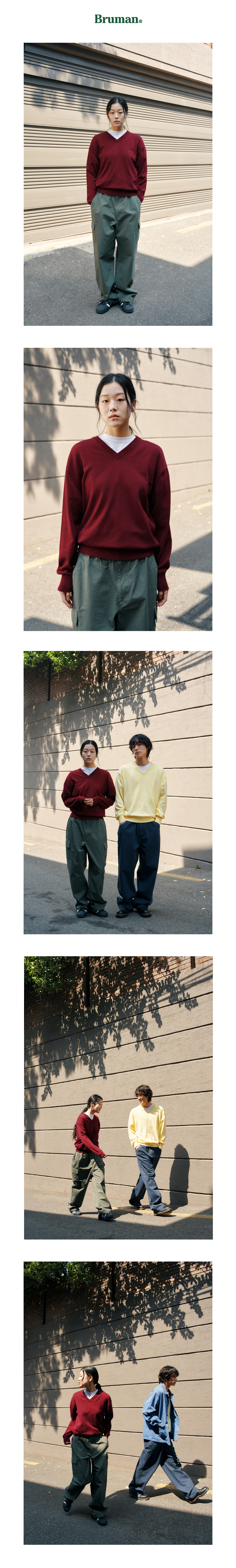 Cotton V-Neck Knit (Burgundy)