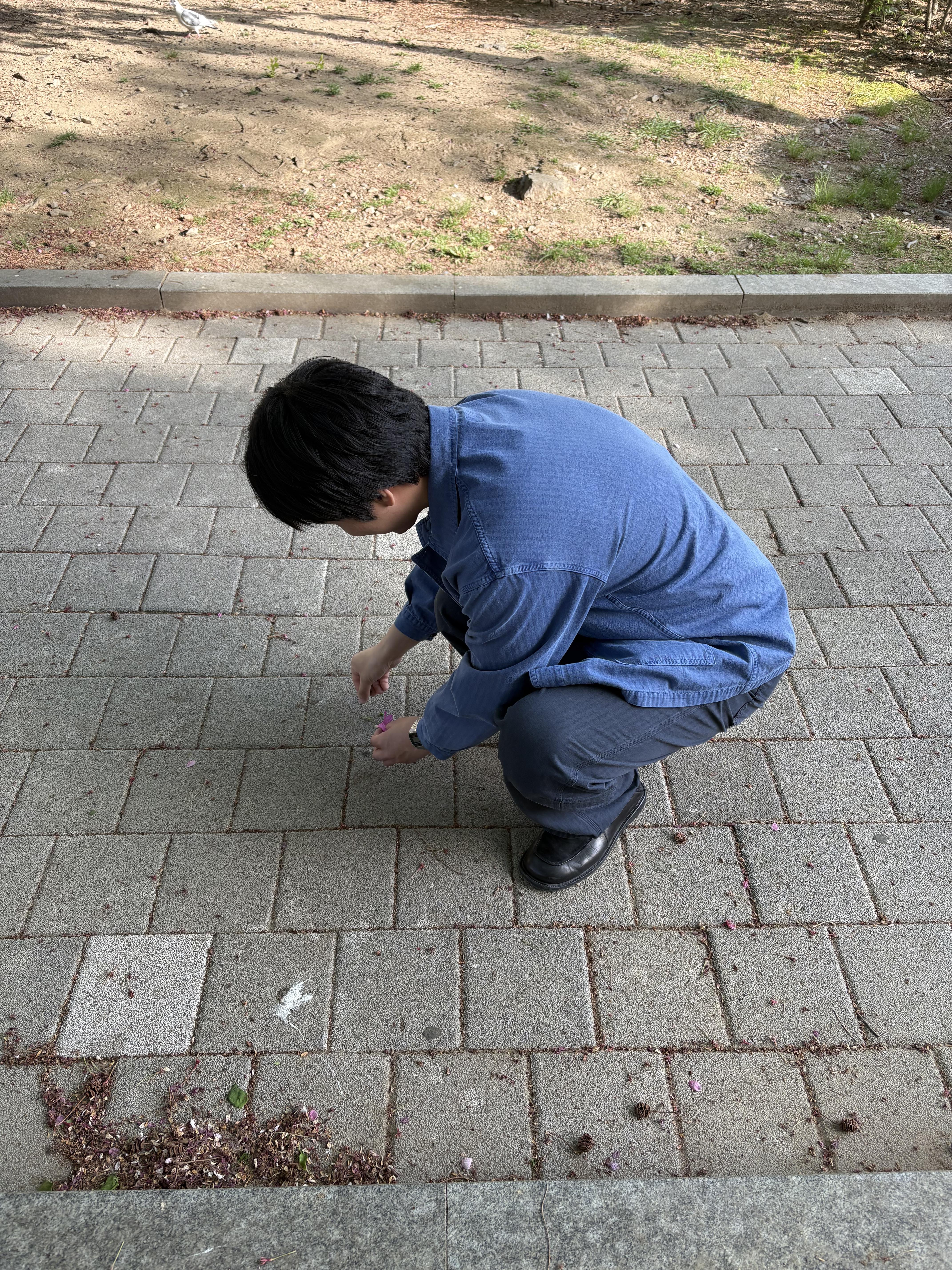 7be0821203cc1.jpg