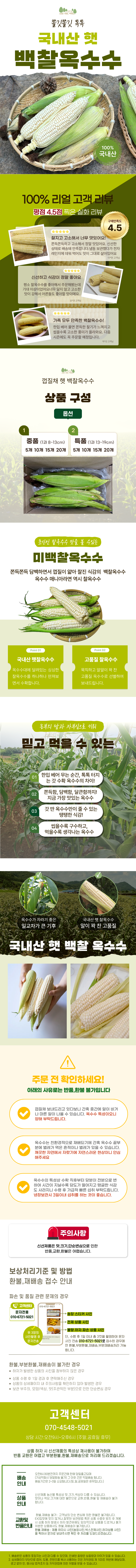 국내산 햇 미백 찰옥수수(카드결제용)