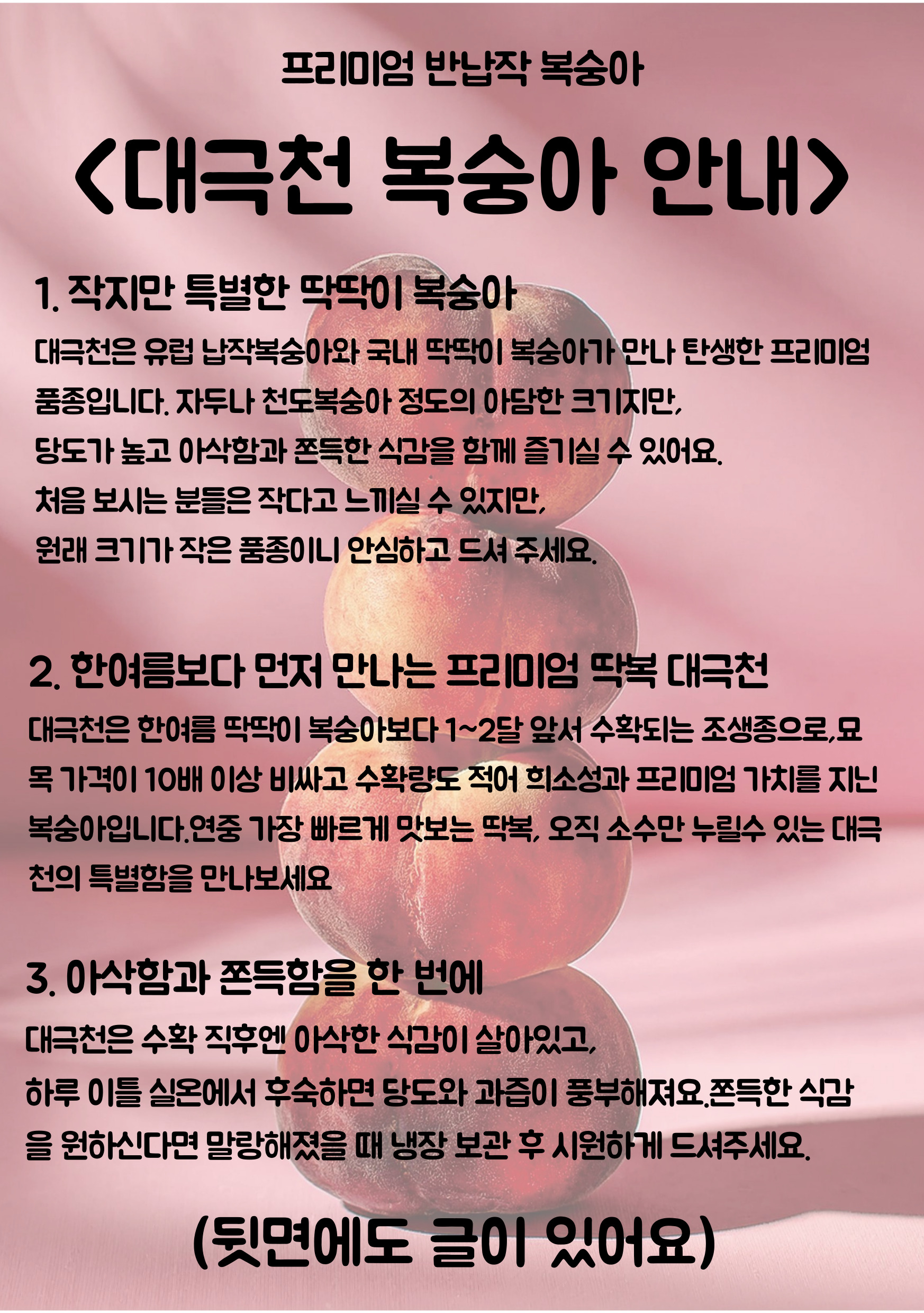 하우스 복숭아(대극천)