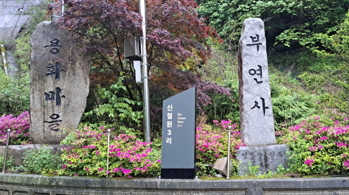8e030cca06374.png
