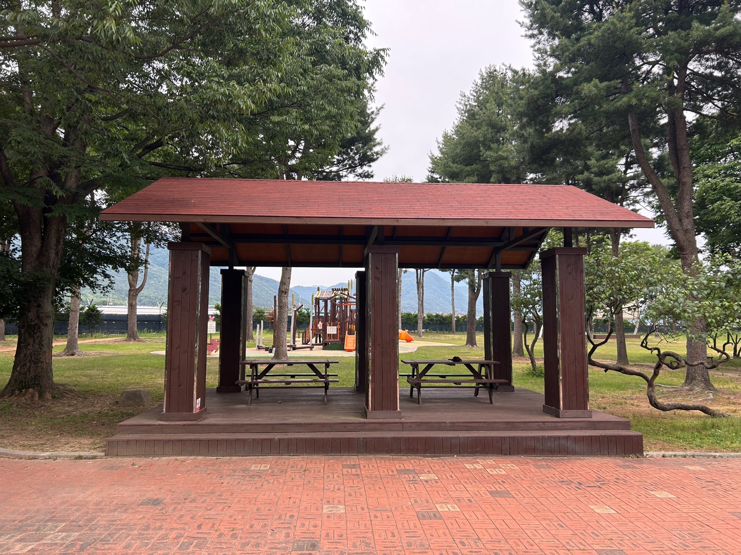 e9a40393c1be2.jpg