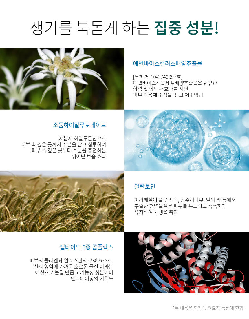 베이스드온 바이오셀룰로오스 미선 앤 코코넛 마스크팩 23g x 5매입