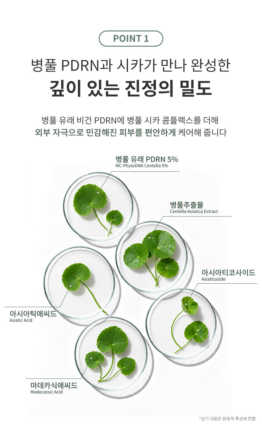 베이스드온 앰플 레졸루 50ml