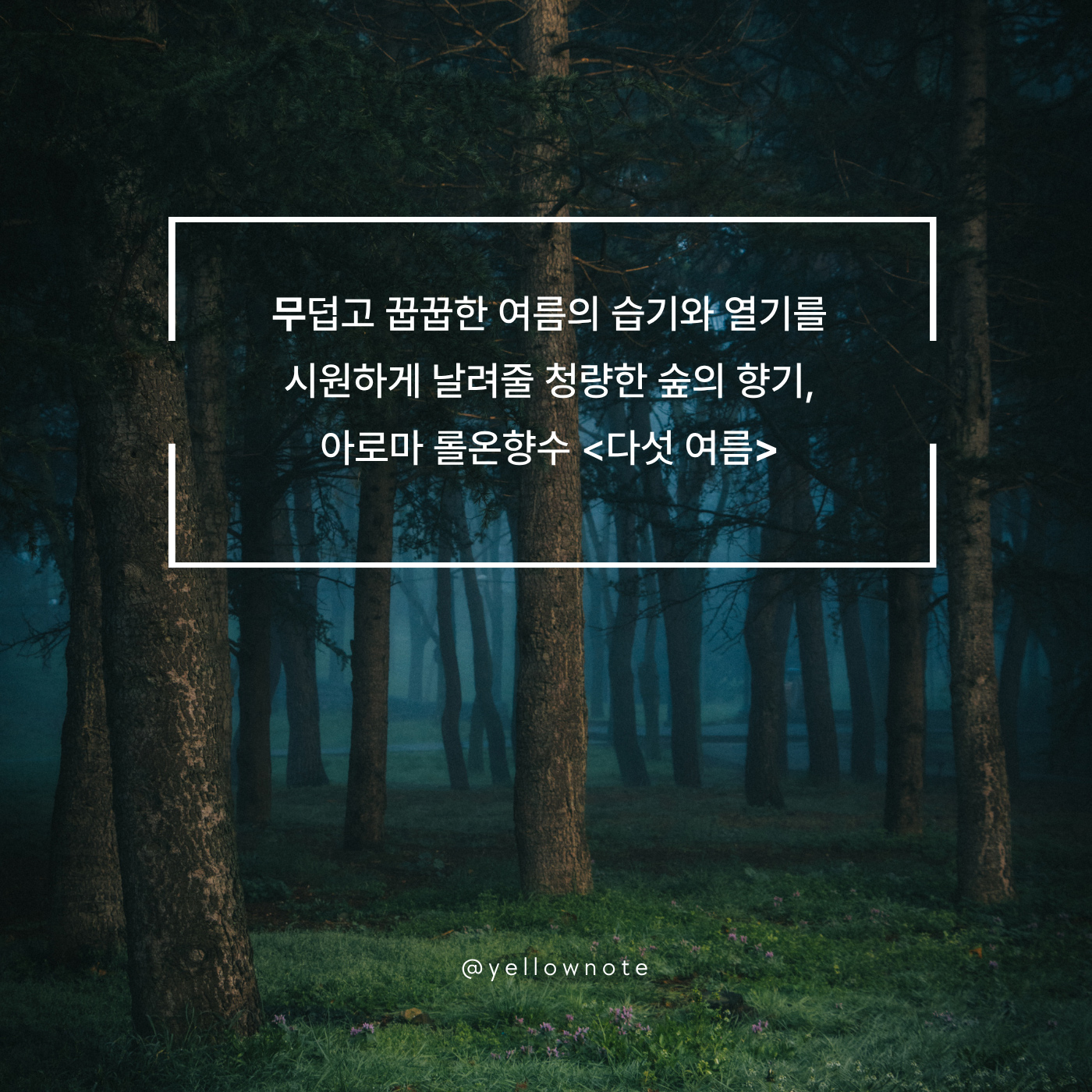 청량한 숲의 향기, 다섯여름
