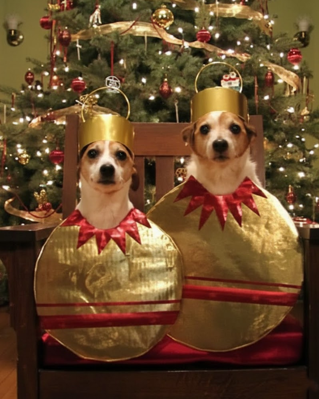 10f2c83949375.png