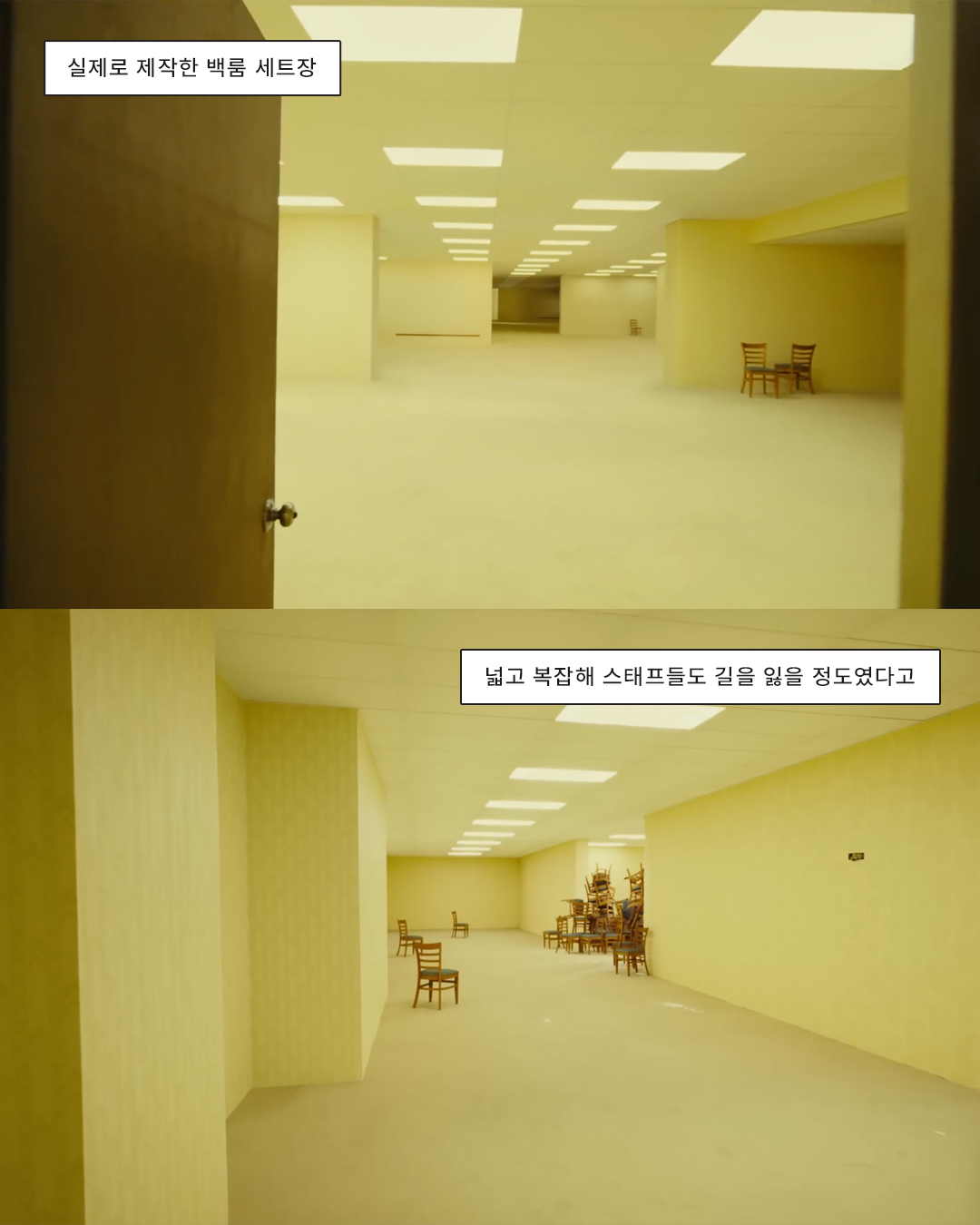 13875380ae544.png