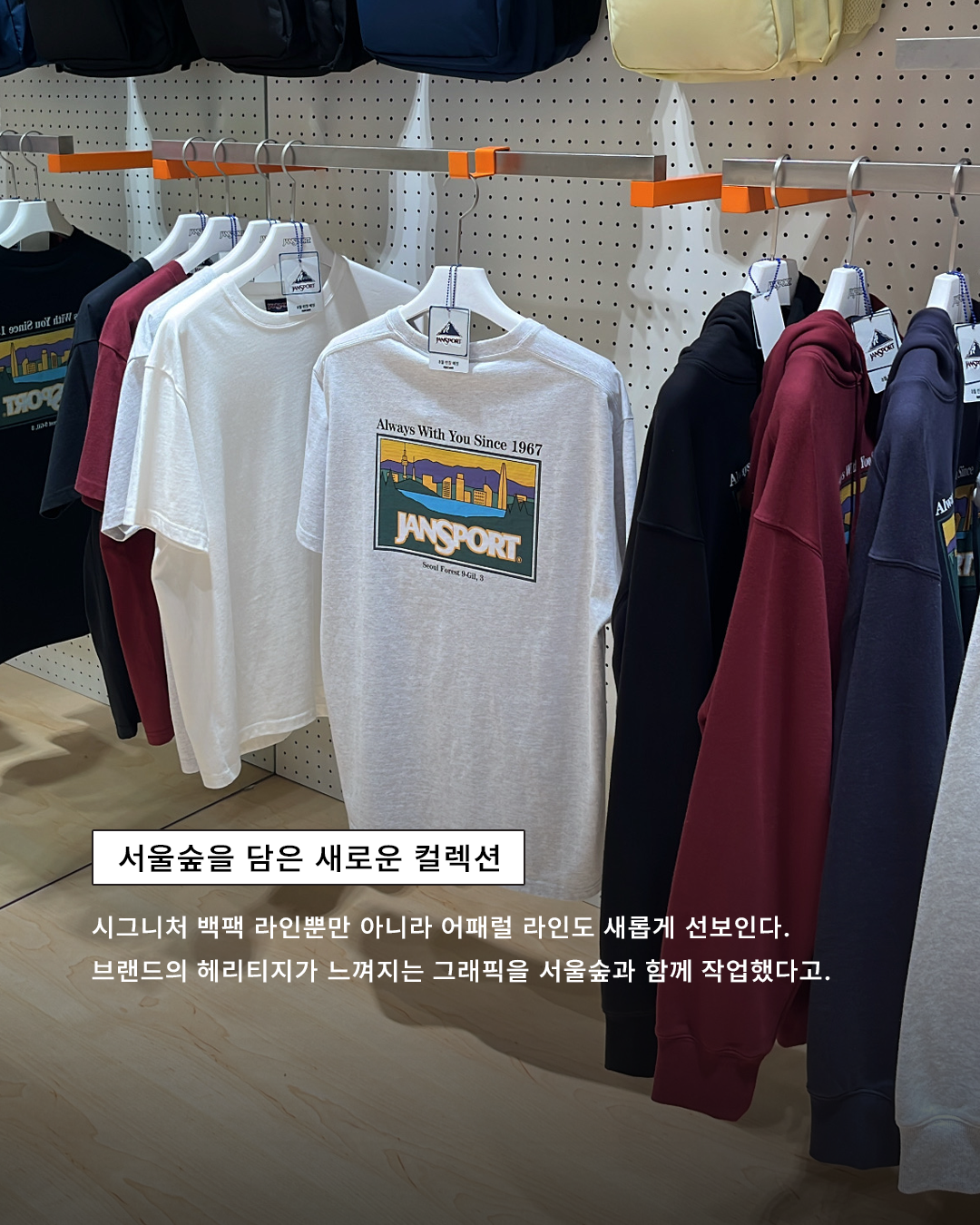 16b1598cb953d.png