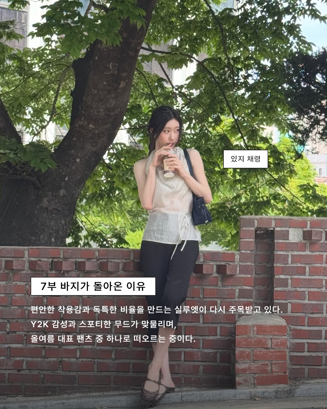 205fcc6721663.png