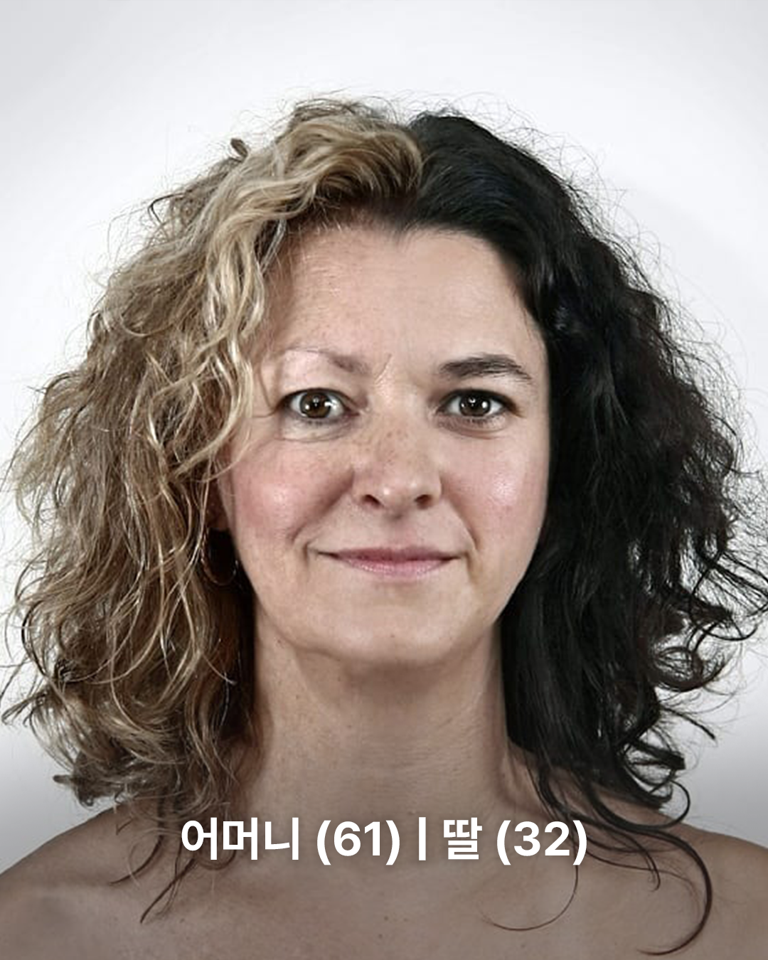 23177b3d21d63.png
