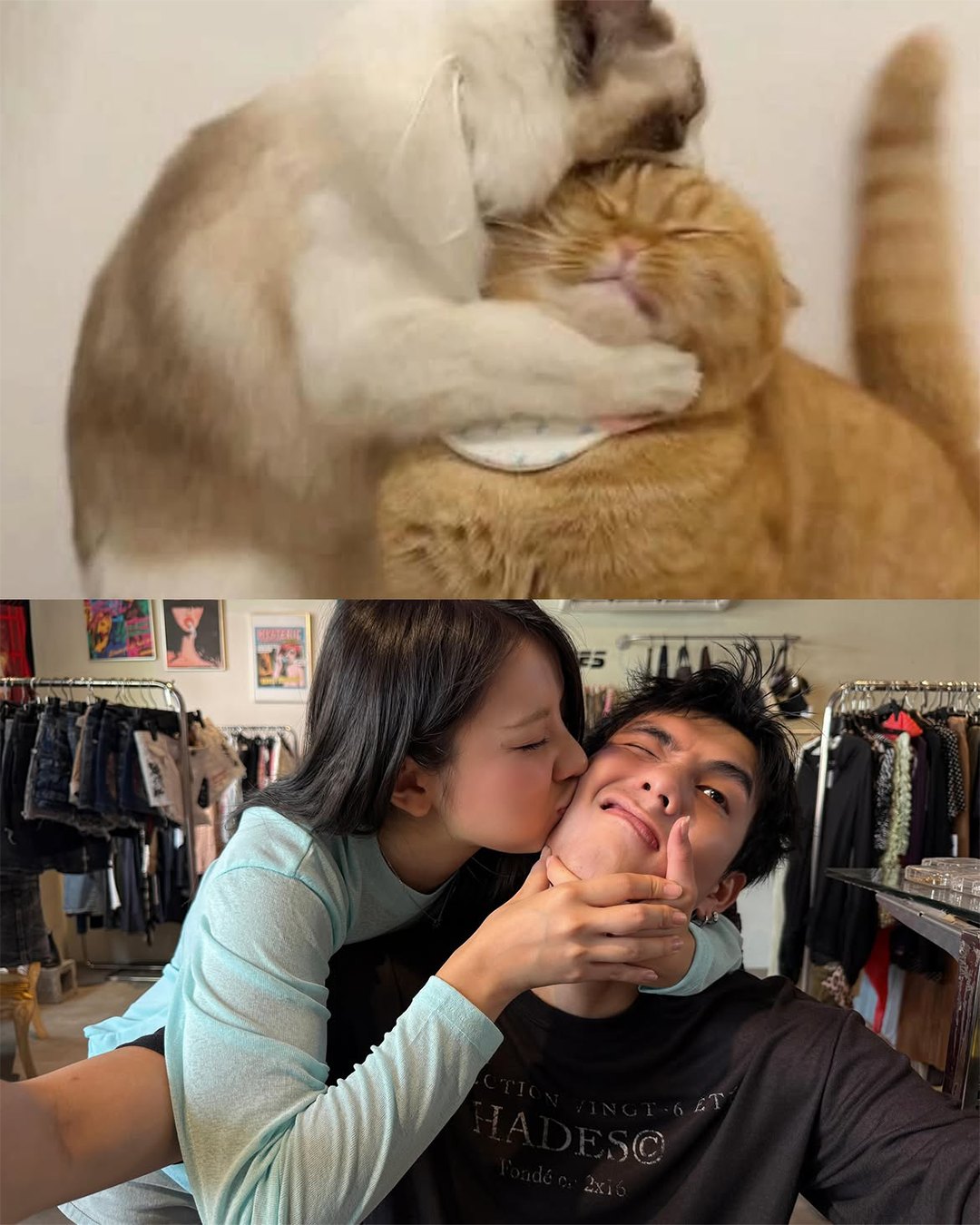 26157173722ea.png