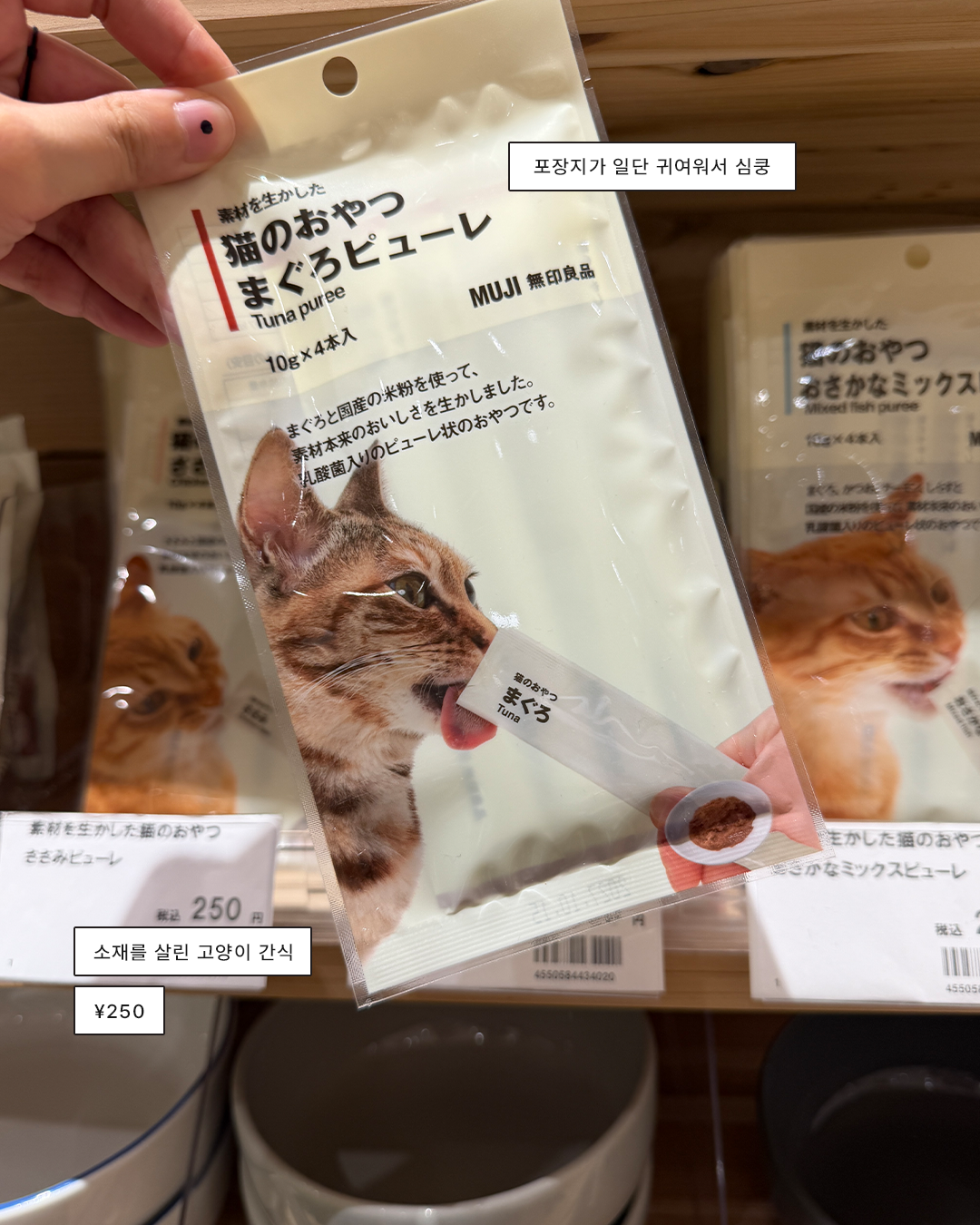 2625a2b64485e.png