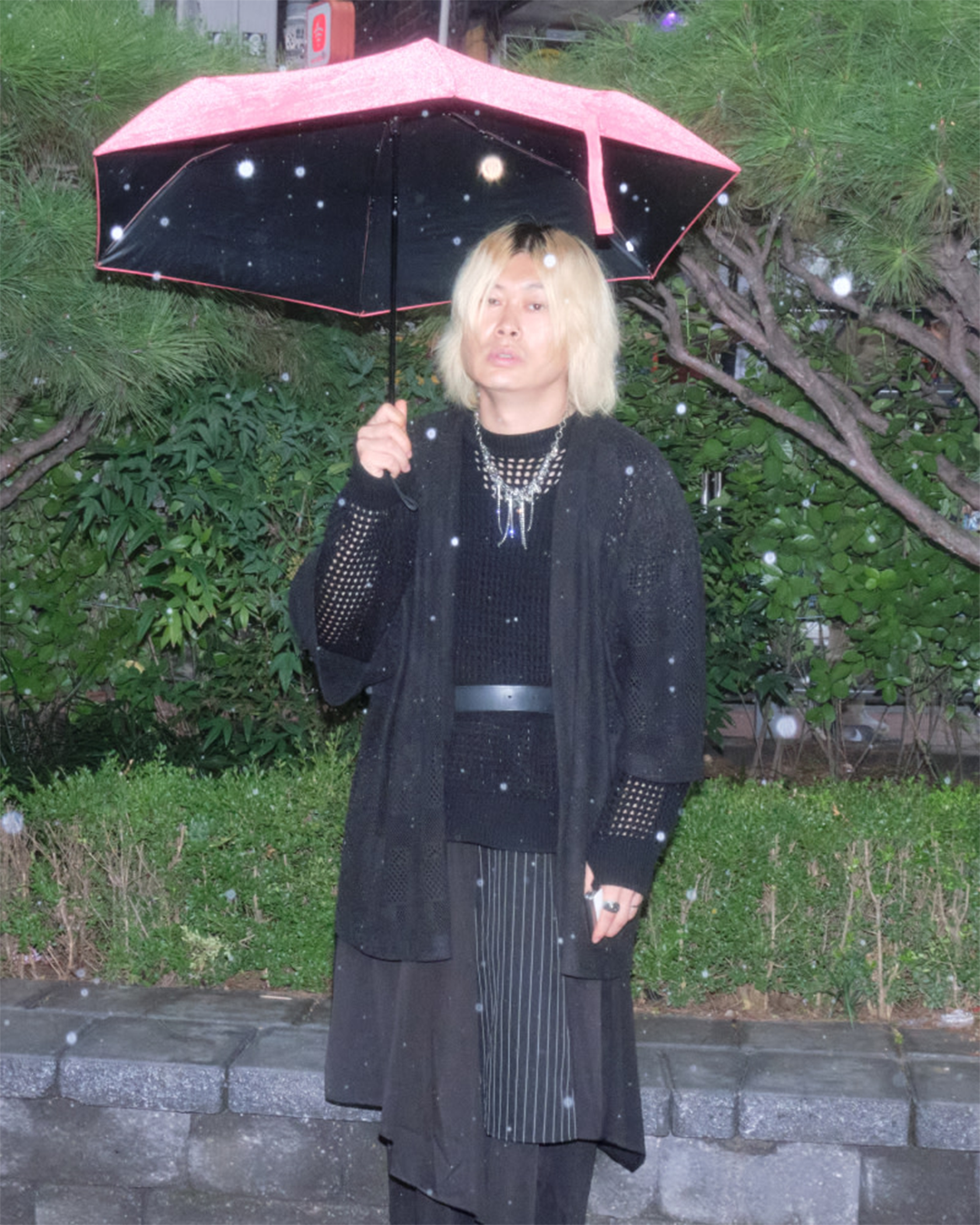 3e871420fd858.png
