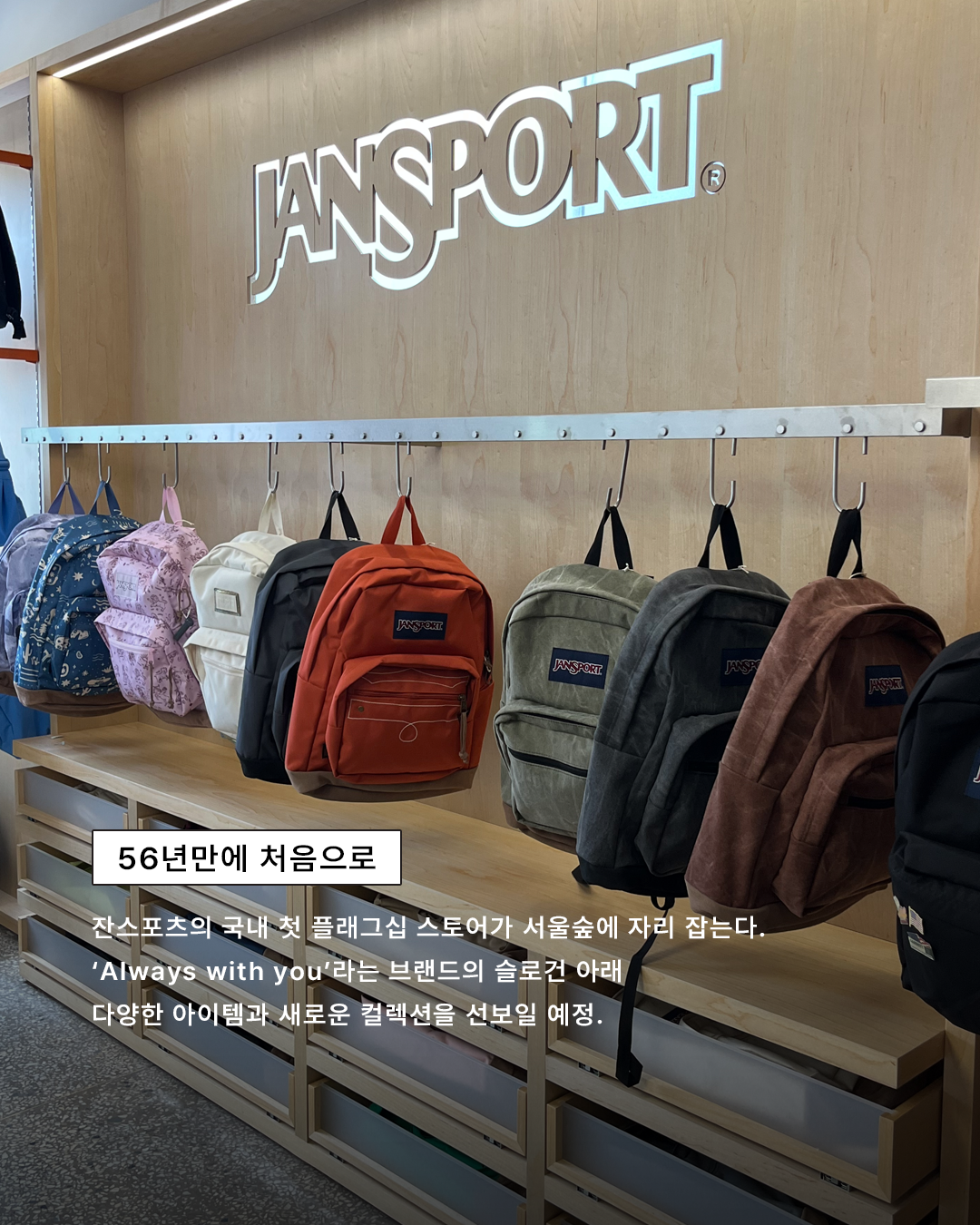 4429205344e70.png
