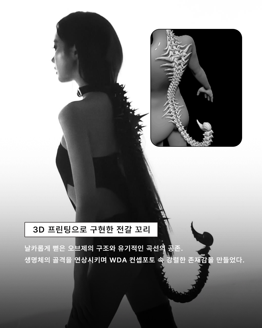 46182af4c47fe.png