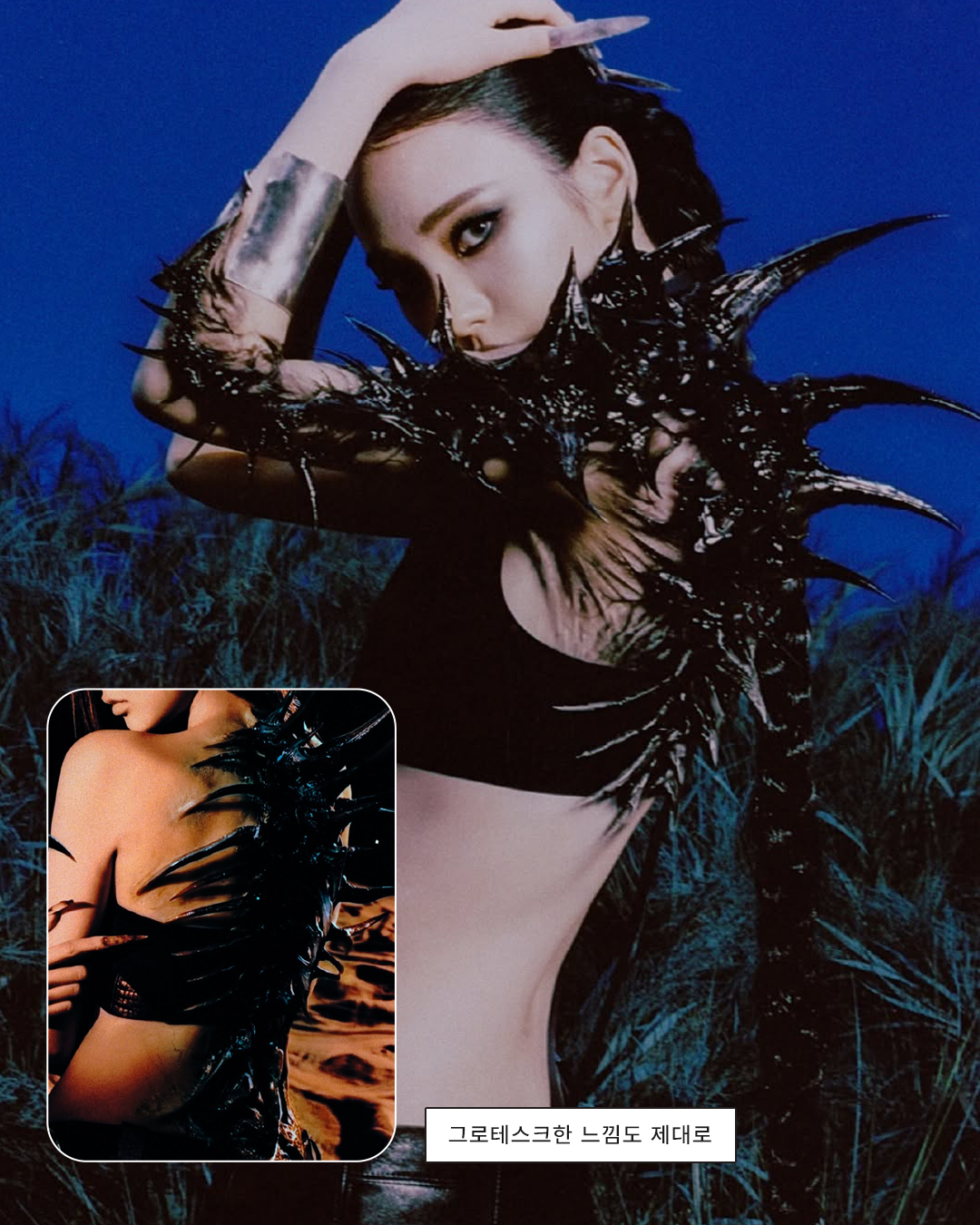 4b14fa5d1467e.png