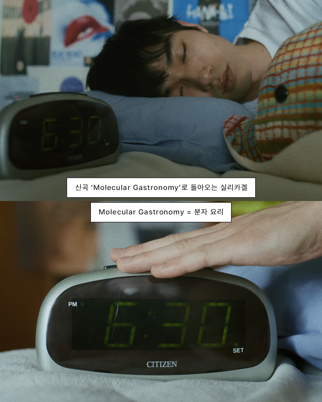 507e022bc8e6c.png