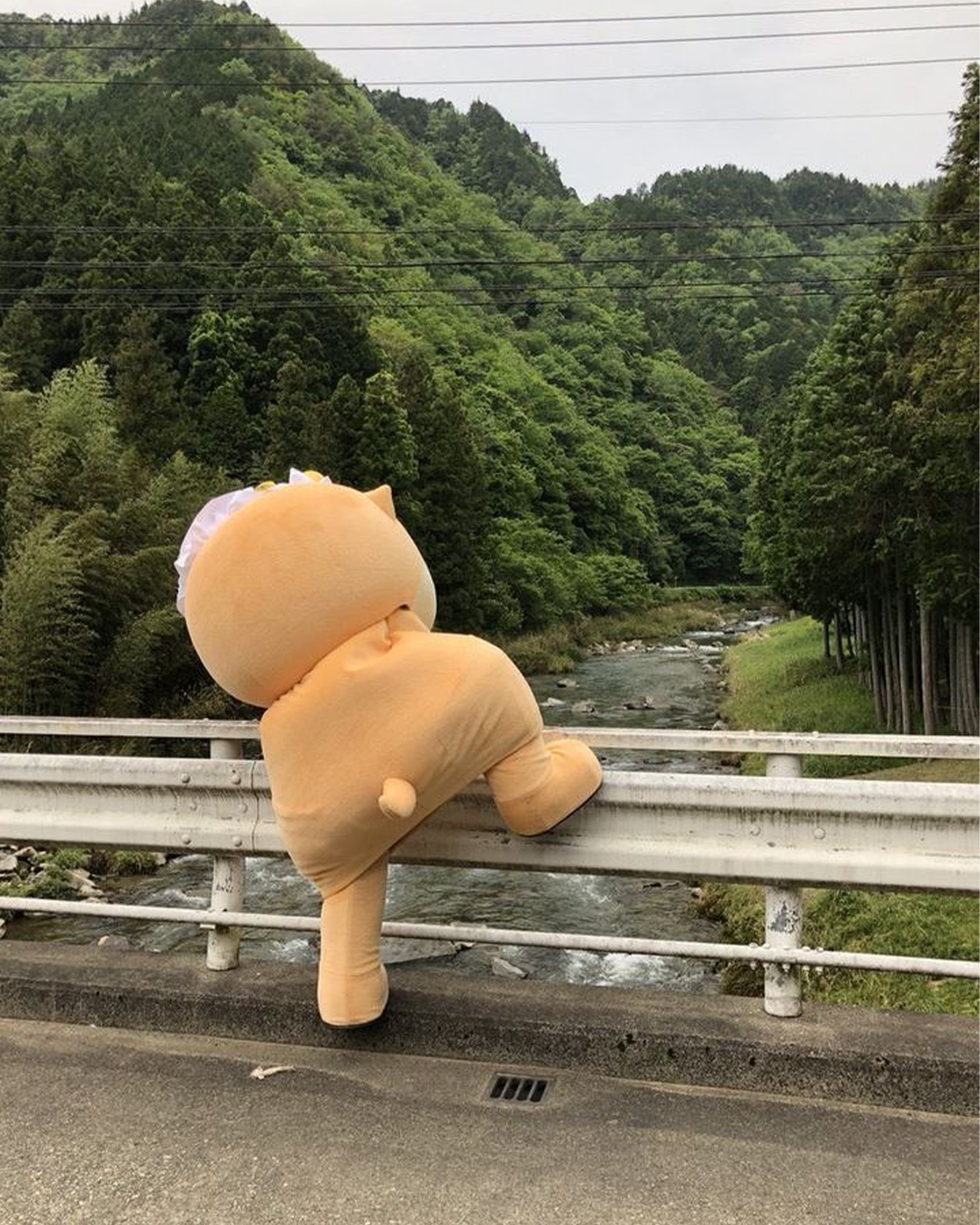 53ef044643e2b.png