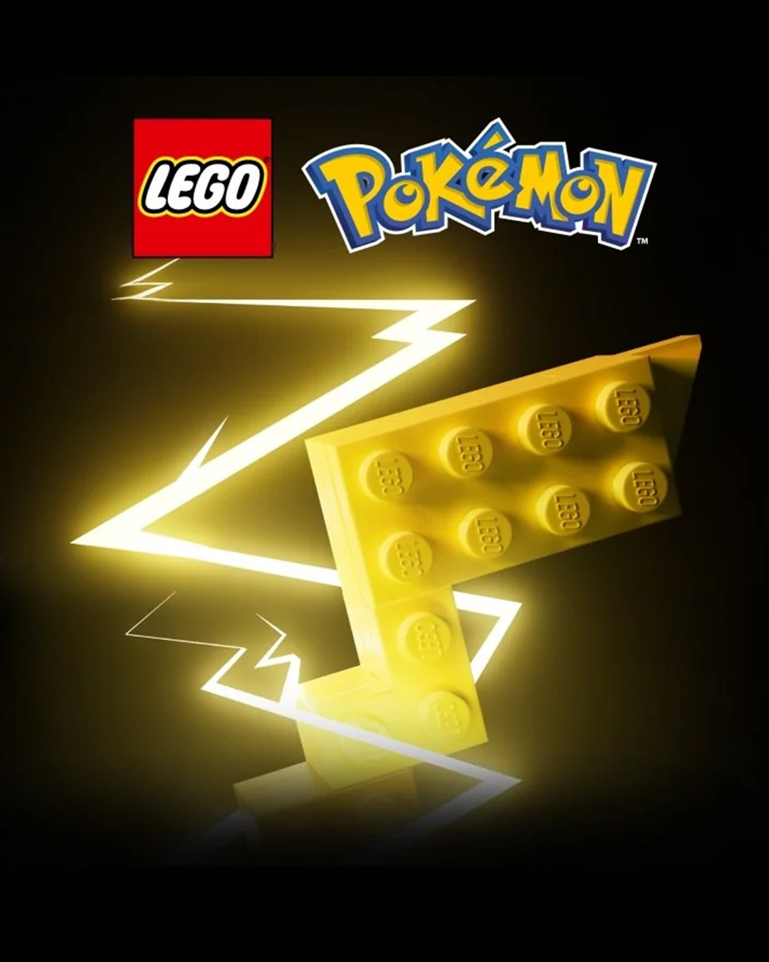 6337b694804d2.png