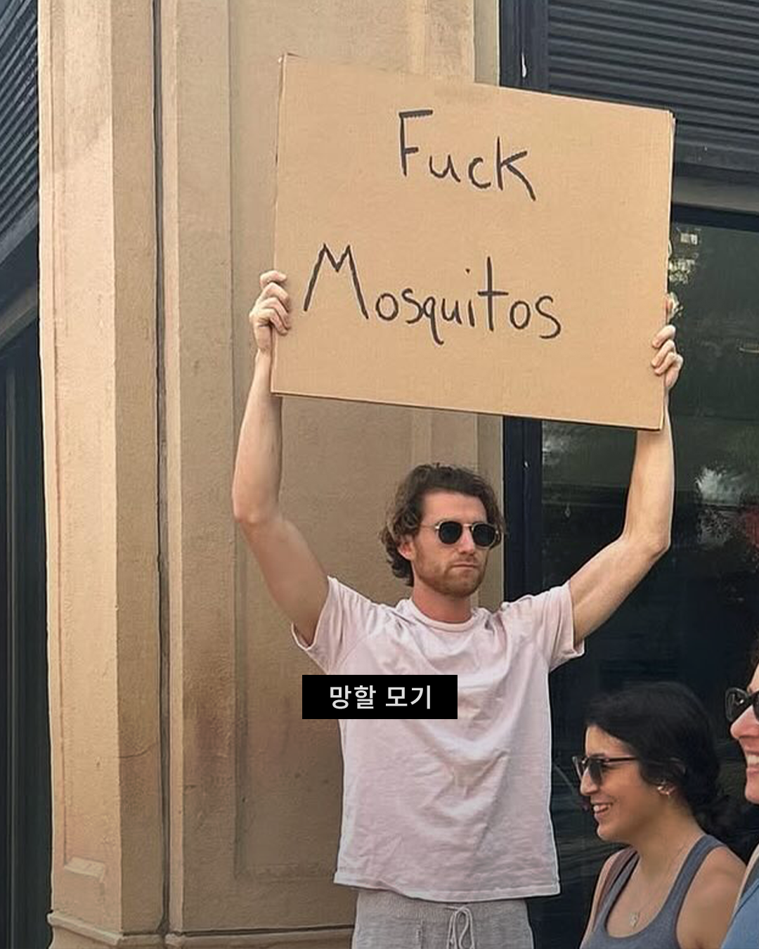 6af01cc3b0c5c.png