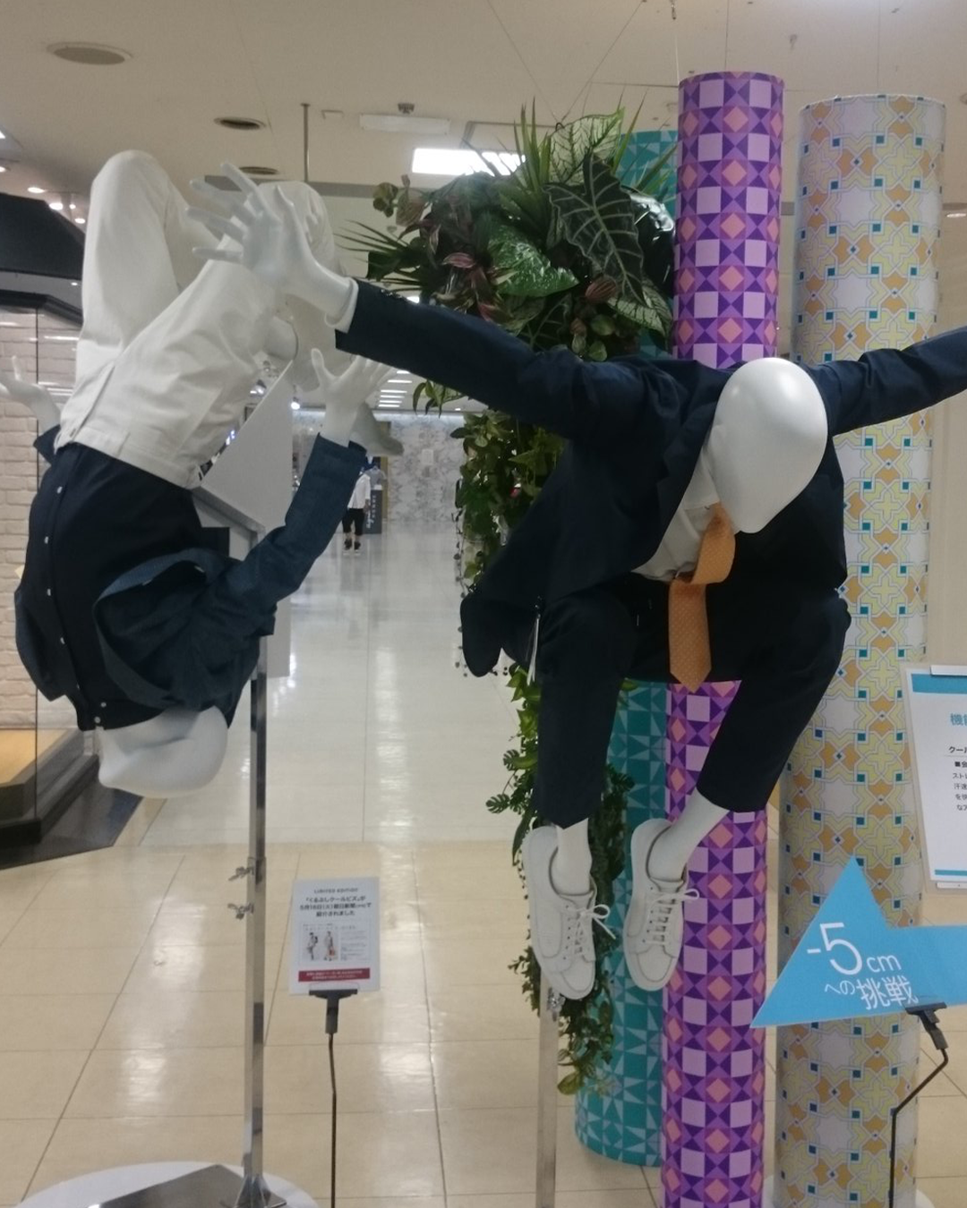 7647c894ccdbc.png