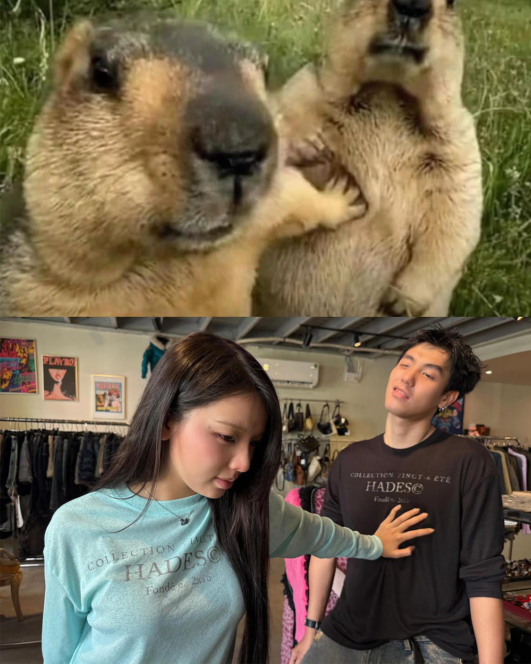 7858c93647c1e.png