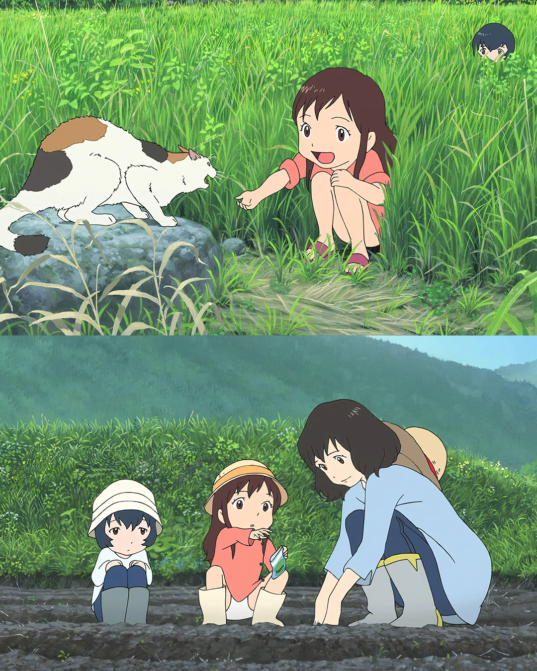 7bdff701072e6.png