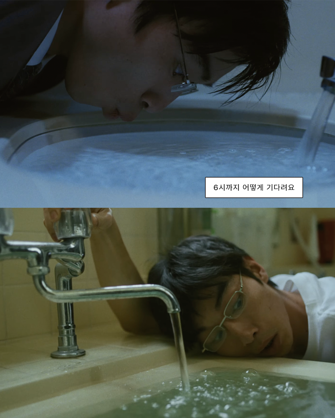 7c527340e0cdc.png