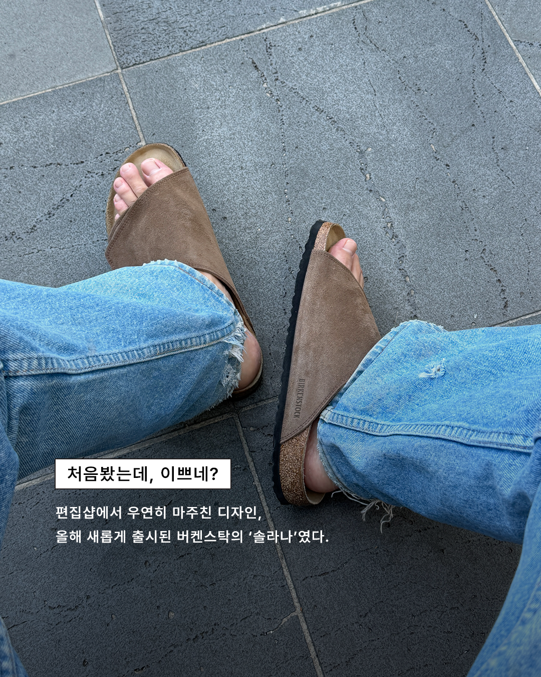 8377a59ffba12.png