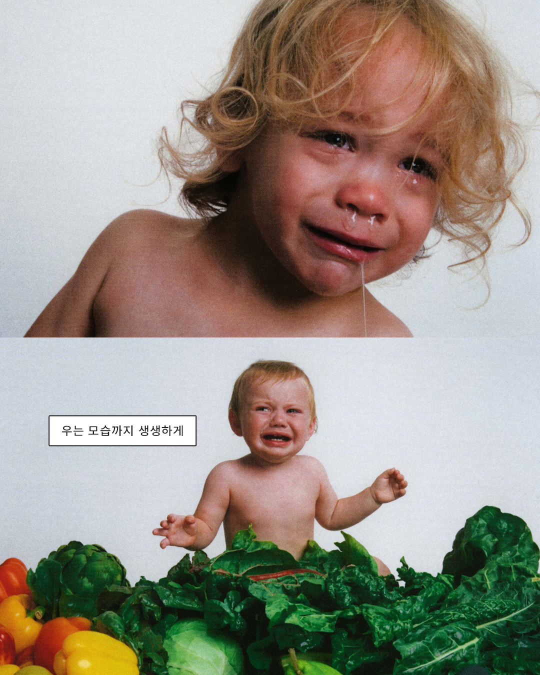 908467d8e3795.png