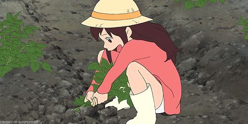 942ed315ee02f.gif