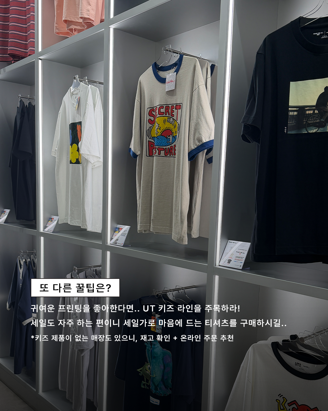 a65b44d519501.png