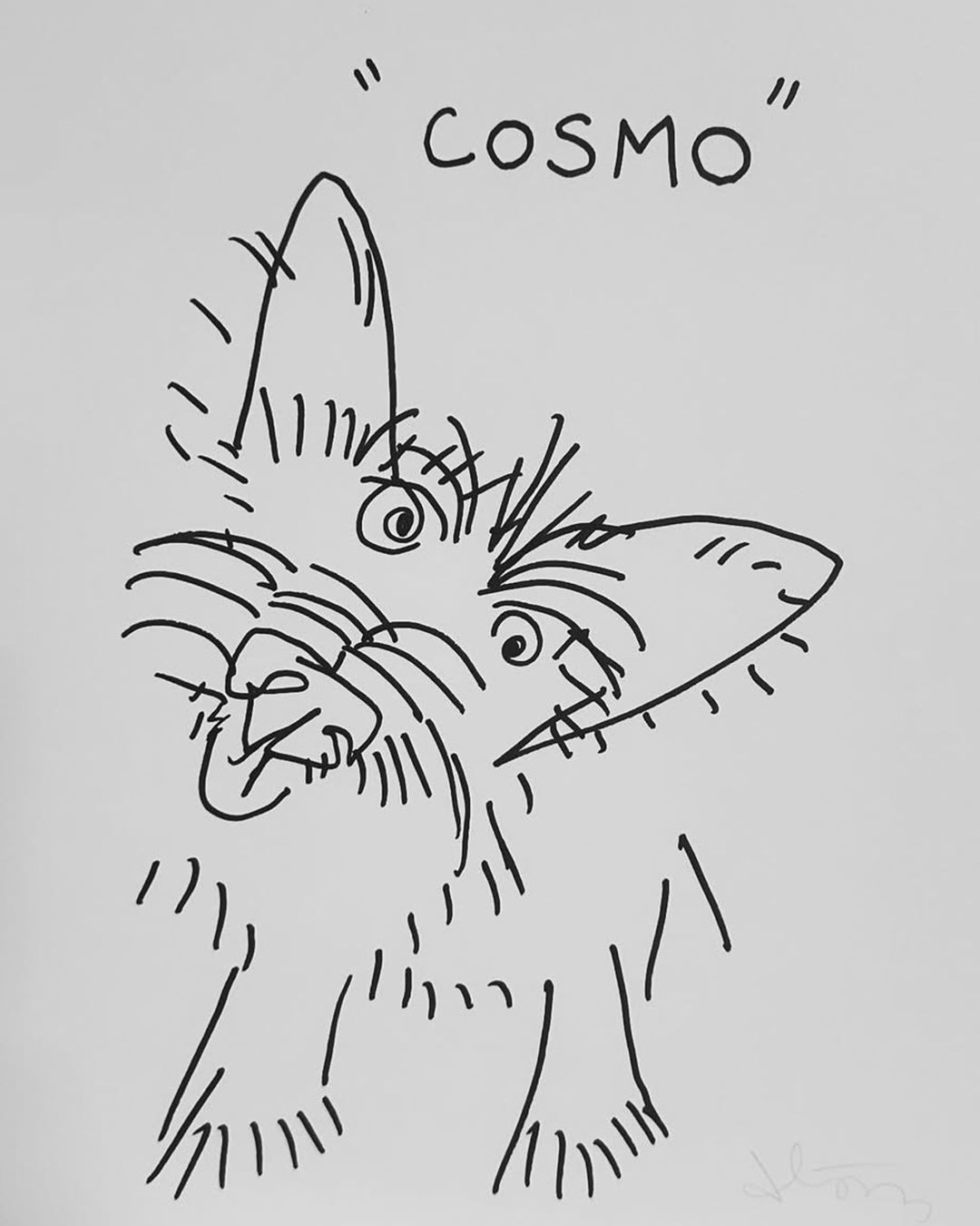 a937b8bec67a0.png