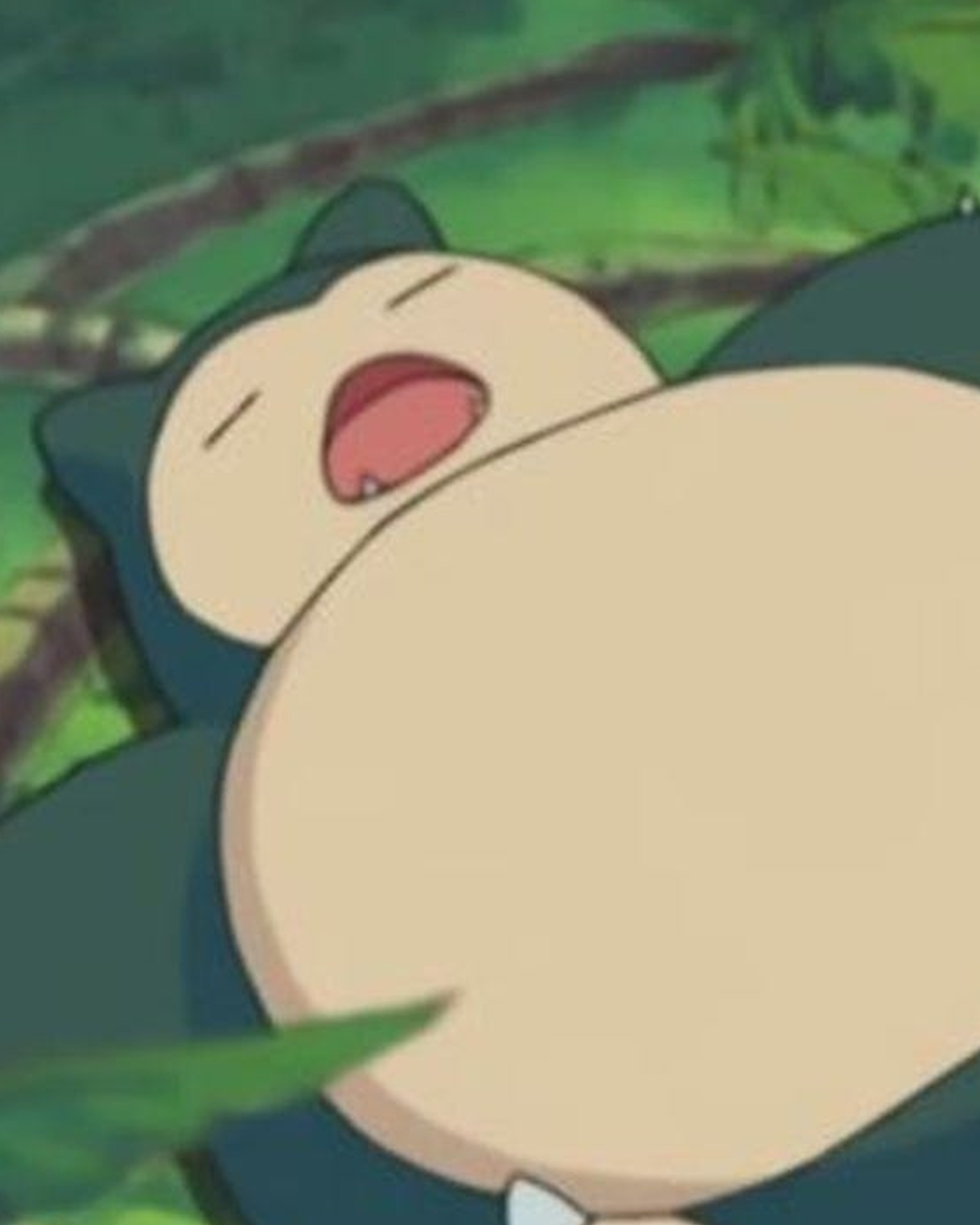 ae3a5f01055b9.png