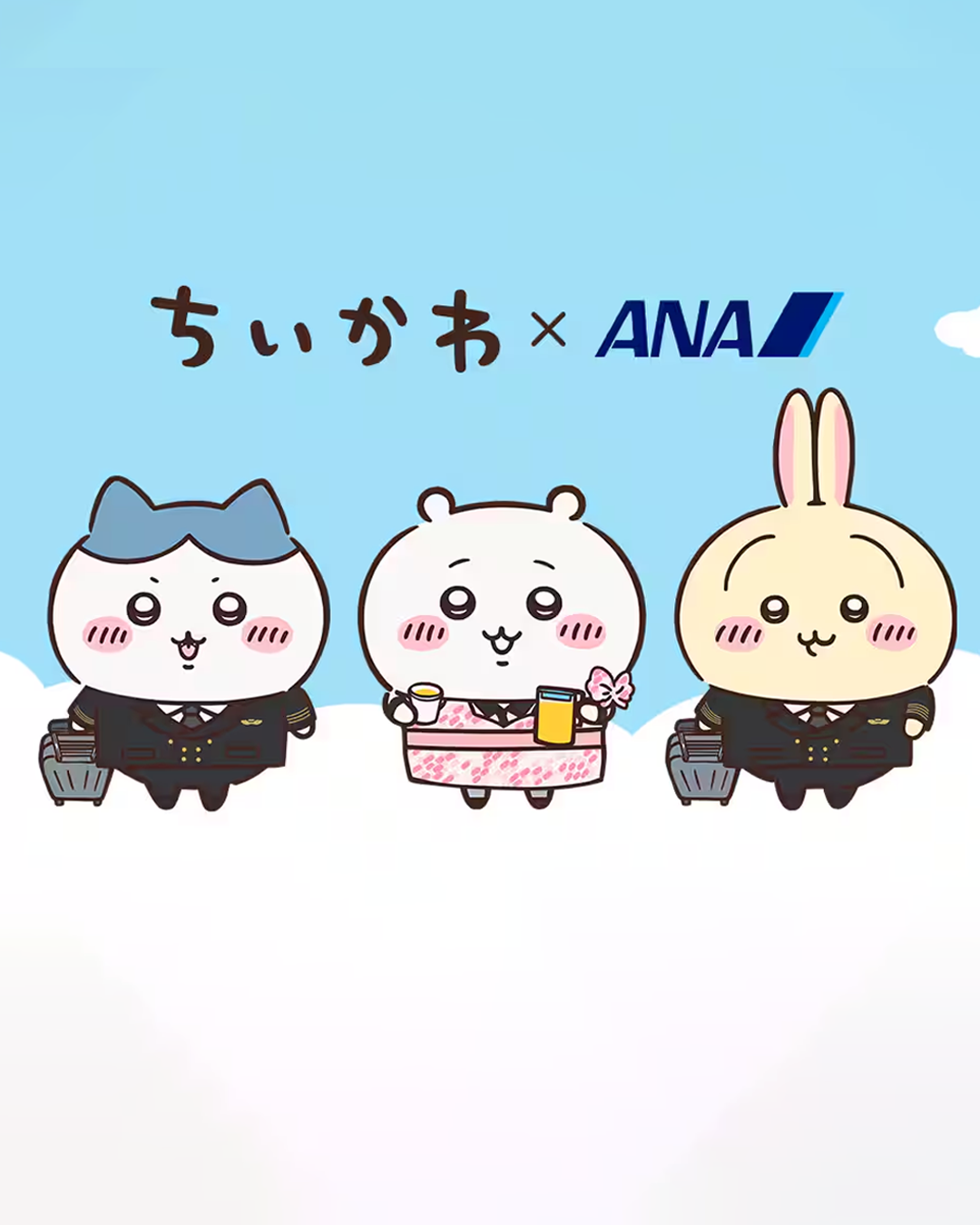 b53fc886a2888.png