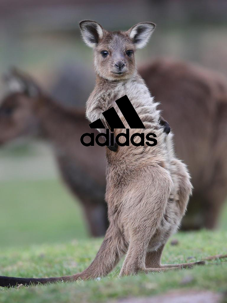 b6dd5dc7e8726.png