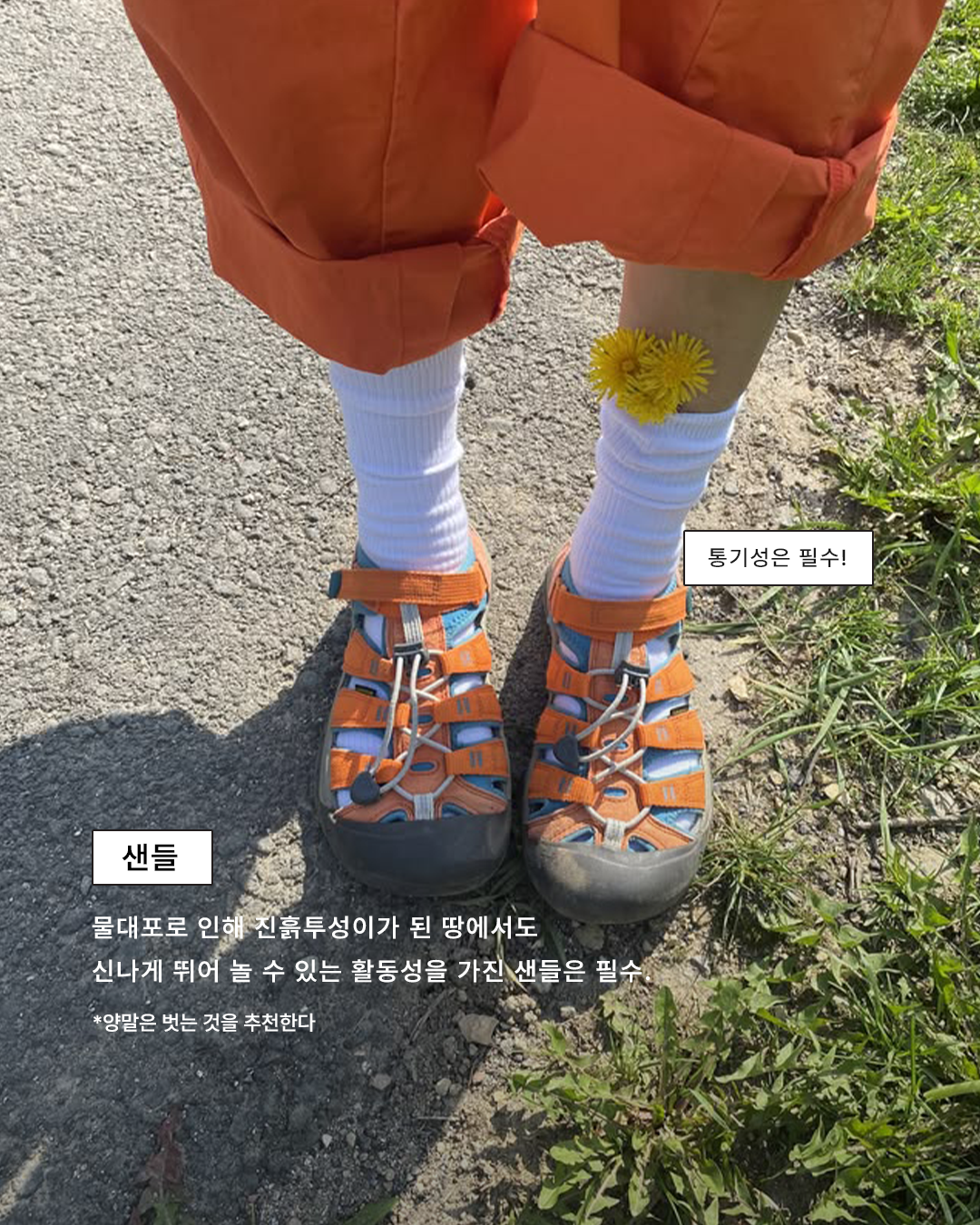 b86b44878f2a6.png
