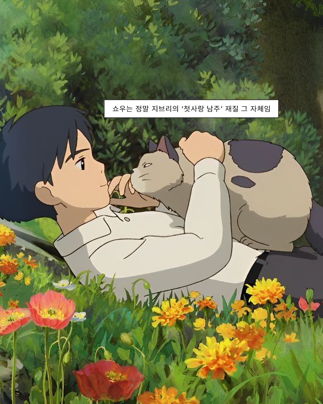 be2b4a066b53f.png