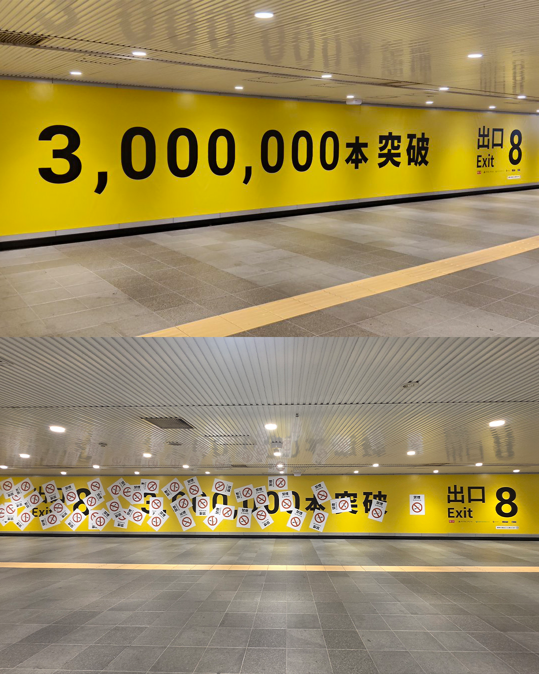 cf44e6b3e295b.png