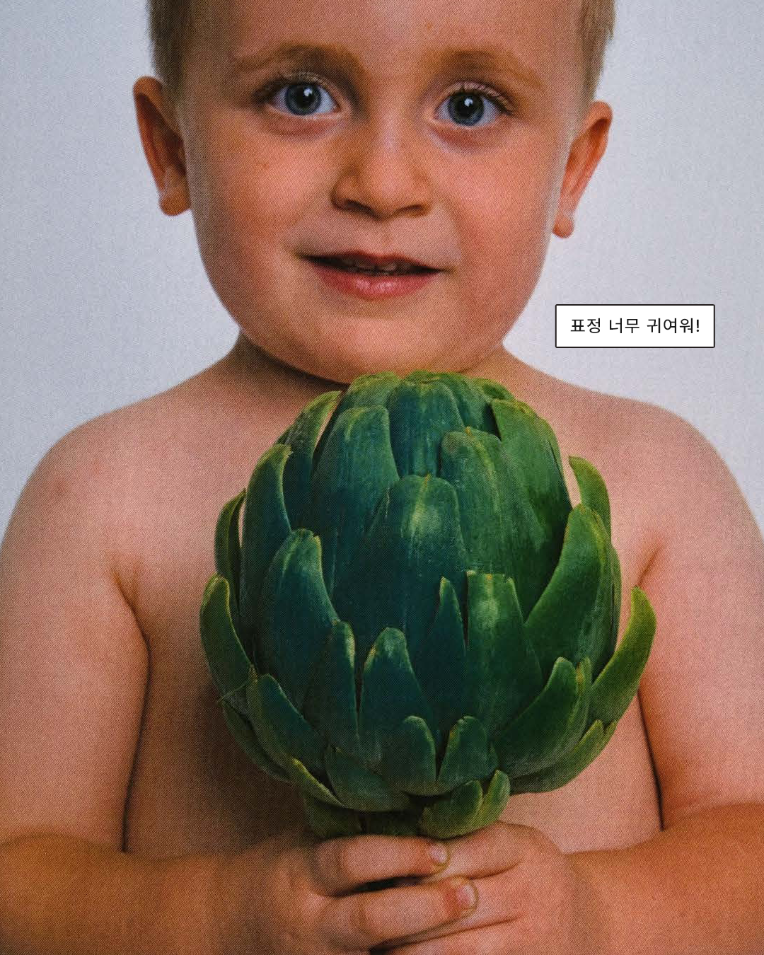 d0aa9204eecd1.png