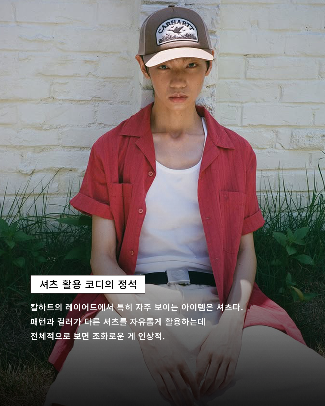 d1b66d74a81b7.png
