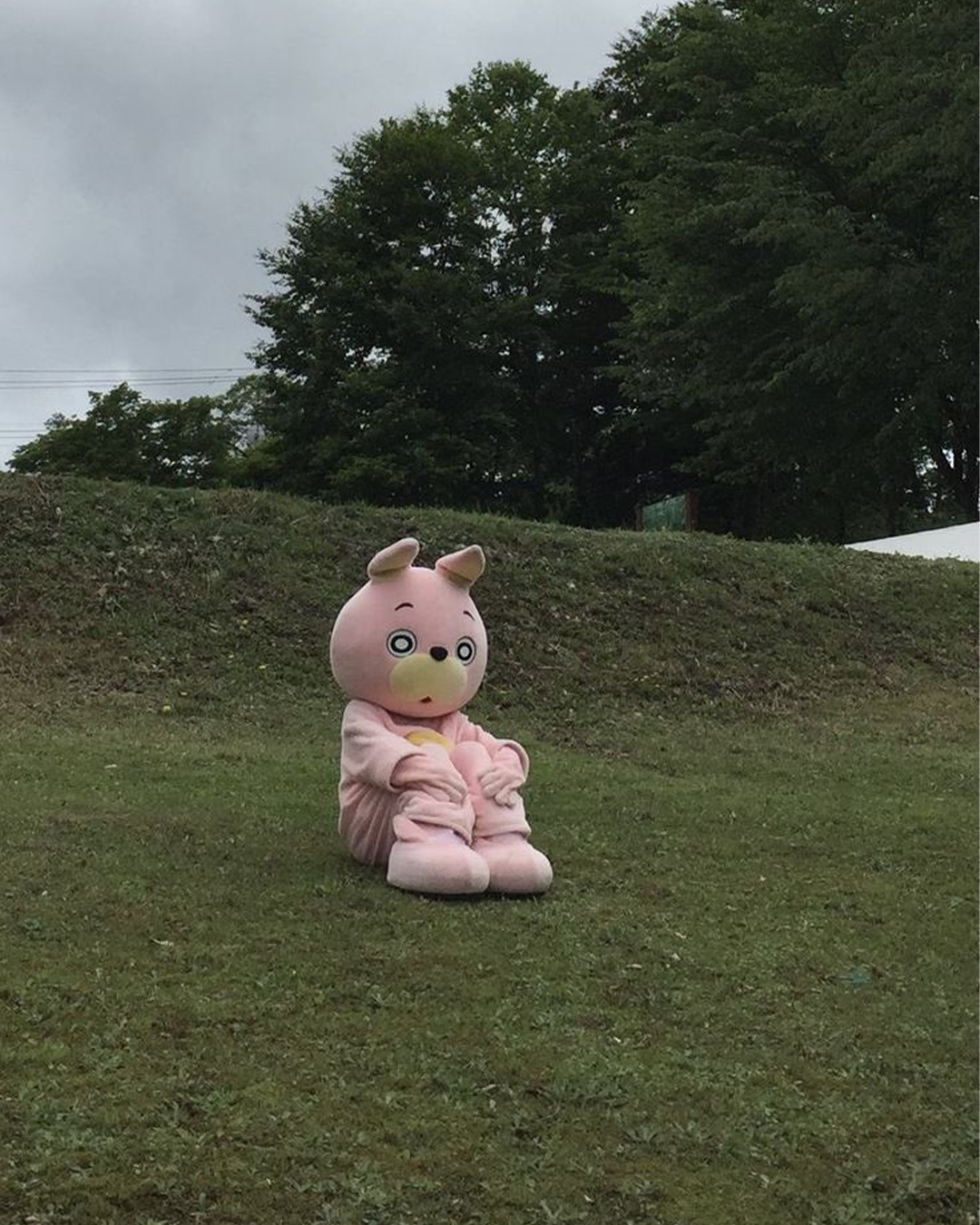 d4f5f1d53c29c.png