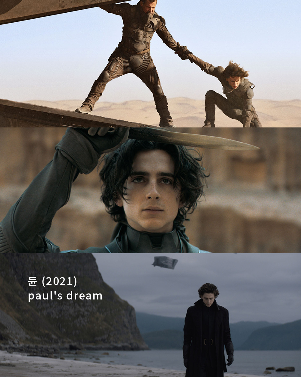 dfb8962946af5.png