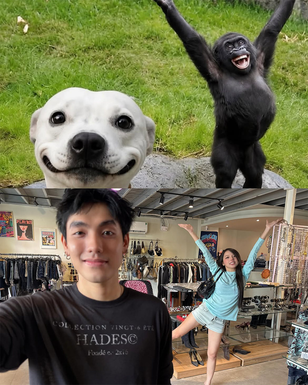 ef9e87d74e2a1.png