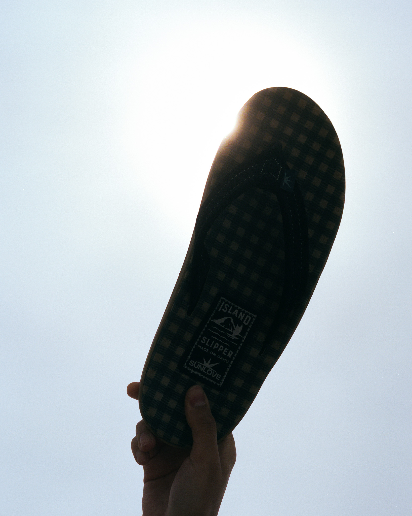 f1cc8d2ee9502.jpg