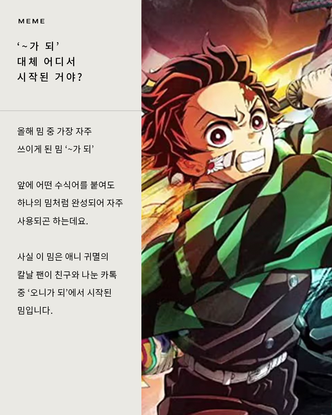 fb81253604c15.png