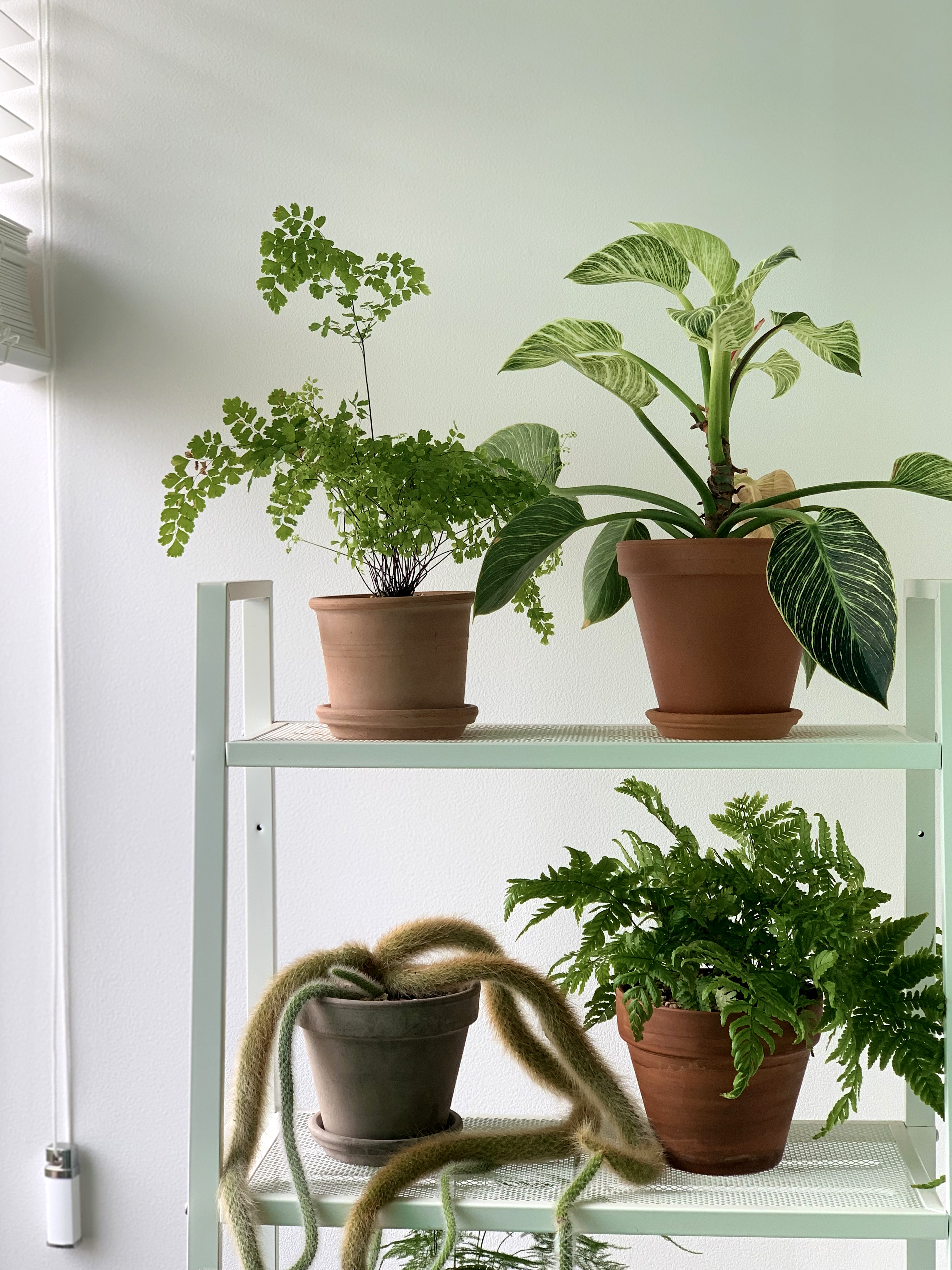 권아라 작가 작업실 전경