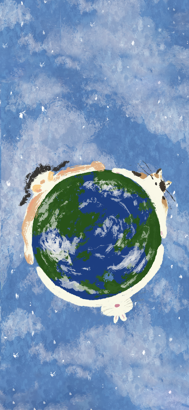 f5a25376f235d.png