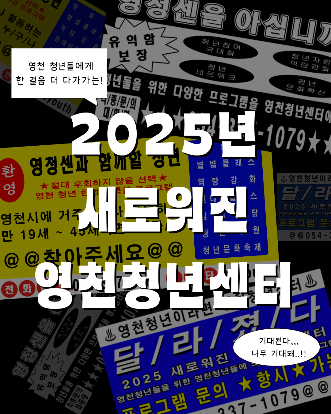 373be3b3044e6.jpg